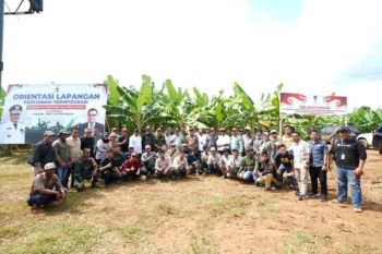 Sulbar akan tingkatkan investasi agro bisnis