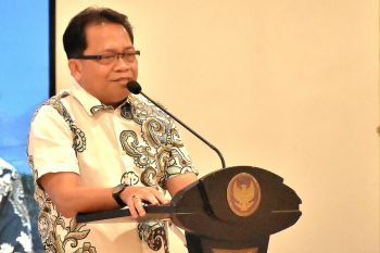 Pemkab Kapuas minta pemerintah pusat tingkatkan bantuan untuk desa
