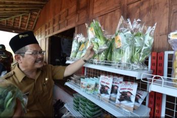Pemkab Pasuruan ajak Pokdarwis terus kreatif dan berinovasi