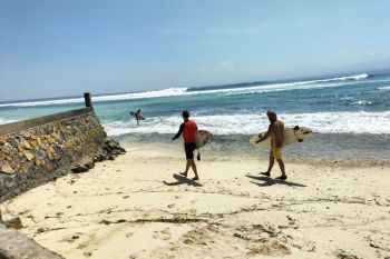 Peserta WSL Krui Pro coba sensasi ombak di Pesisir Barat