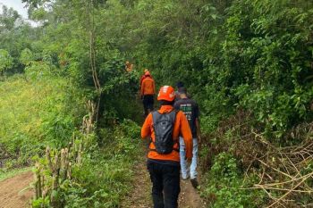 Tim SAR cari warga yang hilang empat hari di  Sikka