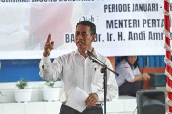 Mentan harapkan jagung petani bisa di atas Rp5 ribu per kg