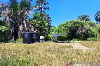 TBS Energi fasilitasi irigasi dari energi terbarukan
