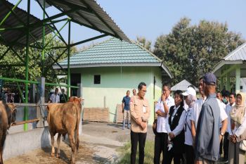 Dinas Koperasi Kulon Progo menyelenggarakan pelatihan juru sembelih hahal