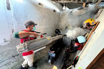 Dinkes PPKB Kota Madiun gelar pengasapan hampir setiap hari cegah DBD
