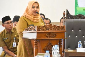 Kabupaten Bengkalis tempati peringkat madya kabupaten layak anak