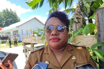 Pemkab Jayapura produksi permen dan pasta coklat hasil kakao petani