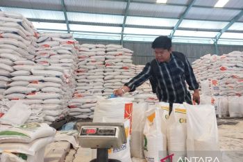 Stok beras di Sulteng hadapi Idul Adha capai 24 ribu ton