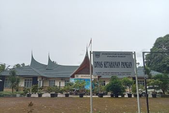 Pemkab Pasaman Barat pastikan stok beras tersedia jelang Idul Adha