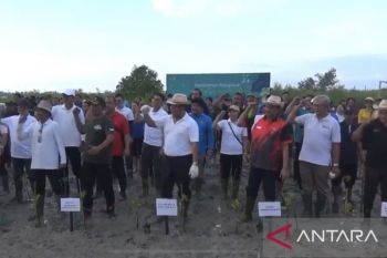 Pemprov Bali dan para pelajar tanam 500 bibit bakau di Arboretum Park