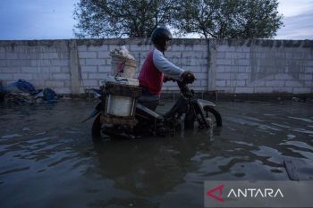 Banjir rob di pesisir Indramayu