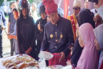 Sulbar melibatkan kelompok wanita tani pada program kedaulatan pangan