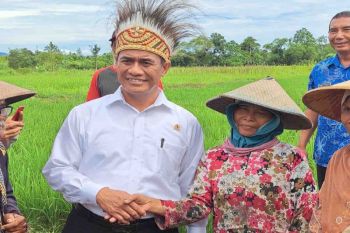Mentan pacu produksi pertanian Monokwari lewat pompanisasi