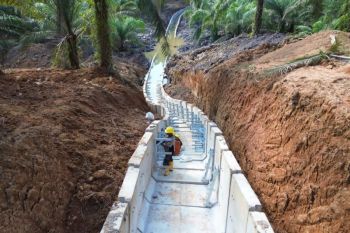 Dukung pembangunan IKN menuju "Forest City", PLN rampungkan tiga infrastruktur kelistrikan tegangan tinggi