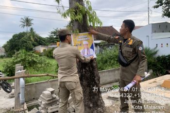 Pemkot Mataram larang pemasangan APS Pilkada 2024 di pohon
