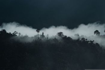 Target wisatawan domestik 1,2 miliar orang tahun 2024