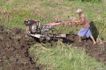 Nilai tukar petani turun
