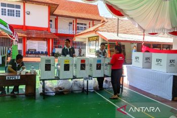 KPU Kotim: Kapasitas TPS naik dua kali lipat pada pilkada