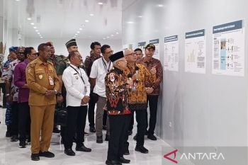 Wapres Ma'ruf Amin dukung Papua Selatan jadi pusat industri gula