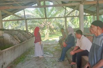 Pemkab Agam turunkan tim pemeriksaan hewan kurban