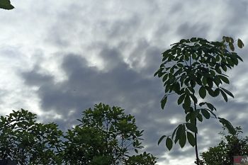 BMKG sebut sebagian besar kota di RI cerah berawan pada Jumat