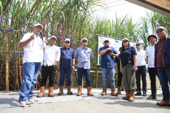 PTPN I targetkan produksi 8 ton per hektare dukung swasembada gula
