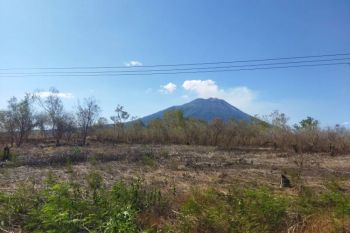 KPH wilayah Lembata identifikasi 76 titik potensi karhutla