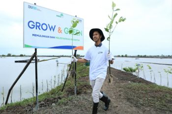 BRI masuk dalam daftar CNBC Indonesia Green Business Ratings 2024
