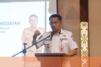 BPBPK Kalteng komitmen amankan IKN dari dampak karhutla