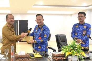 Inspektorat Kalteng intensifkan pengawasan penyelenggaraan Pemkab Kapuas