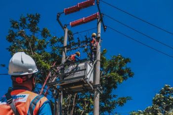 PLN pulihkan listrik pelanggan di Lampung usai gangguan transmisi