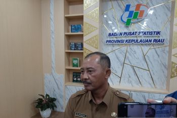 Pemprov Kepri: Kenaikan harga tiket kapal pengaruhi jumlah wisman