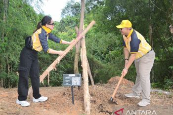 Pj Wako Andree Algamar Tanam Pohon Alpukat di Kebun APEKSI Balikpapan