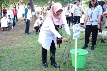 Bupati Banyuwangi bersama pelajar tanam "cemara laut" di pantai
