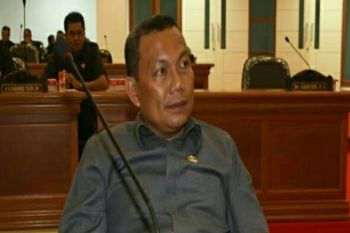 Legislator dukung program penanaman pisang cavendish di Sulbar