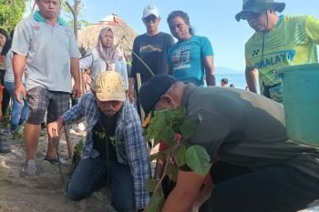 Lembata inisiasi penanaman 1.000 bakau dan malapari