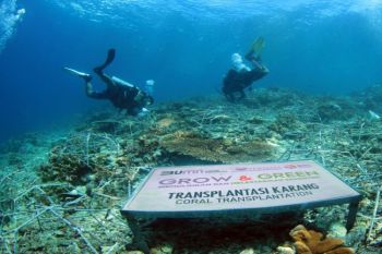 BRI pulihkan ekosistem dan lawan perubahan iklim melalui program BRI Menanam - Grow &amp; Green