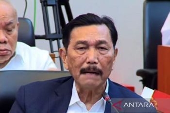 Menko Marves tegaskan pembangunan dan investasi di IKN tetap berjalan