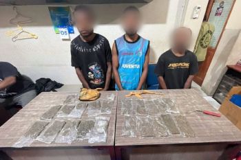 Polresta Jayapura menangkap  tiga pengedar ganja