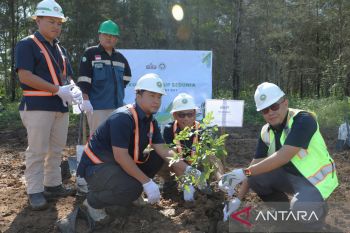 Semen Baturaja tanam  pohon di area reklamasi