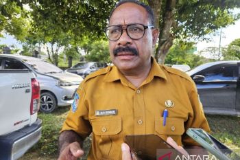 Pemprov Papua minta kematian ternak babi wajib segera melapor