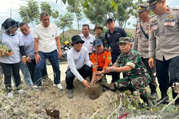 DLH Palu dan Aspeta tanam sebanyak 500 bibit pohon di kawasan galian C