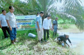 PTPN IV PalmCo perluas program pelestarian lingkungan melalui penyaluran puluhan ribu bibit pohon &amp; ikan