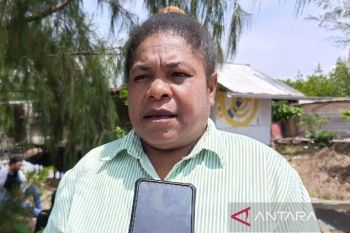 Pemerhati lingkungan prihatin rusaknya hutan mangrove Teluk Youtefa