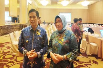 DPRD siap dukung pembangunan kelistrikan di Barito Utara