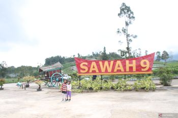 Menikmati Wisata Kuliner Sawah 9 di lembah terpelosok antara tiga gunung Sumbar