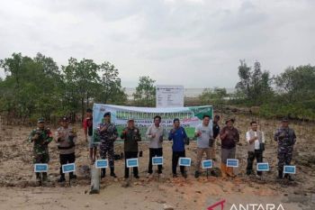 PT Timah tanam 2.000 mangrove cegah abrasi di Karimun