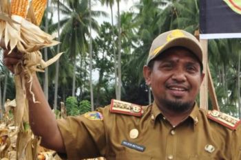 Sulteng tekankan pentingnya penyuluh tingkatkan produksi pertanian