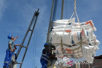 Thailand lelang beras berusia 10 tahun, ini harganya