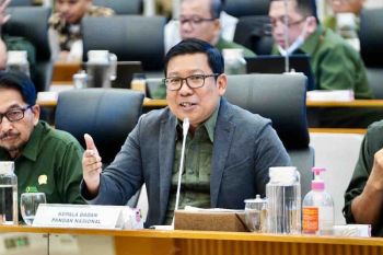 Bapanas pastikan stok pangan aman jelang Idul Adha 2024